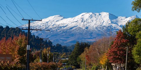 Ruapehu Deals